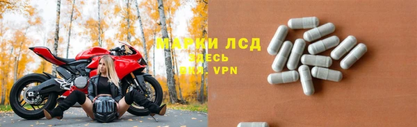 хмурый Арсеньев