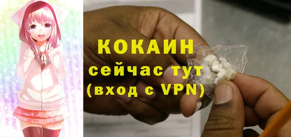 хмурый Арсеньев