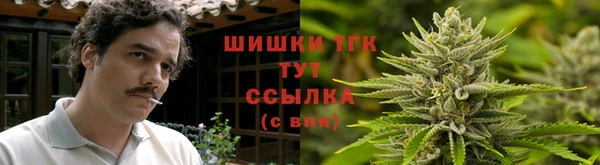 хмурый Арсеньев
