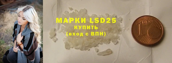 хмурый Арсеньев