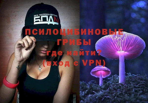 хмурый Арсеньев