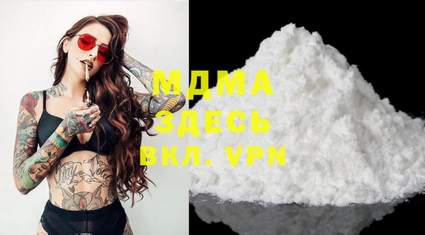 хмурый Арсеньев