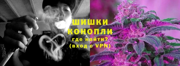 хмурый Арсеньев
